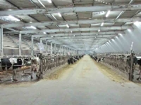 Hayvan Sayısı Artarken Verimliliği Korumak