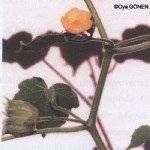 Abutilon Theophrastii Medik. (Hint Keneviri)