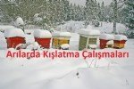 Arıcılıkta İlkbahar Bakımı Nasıl Olmalıdır?