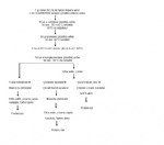 Besinsel Lif Analizi Nasıl Yapılır?