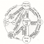 Azot Tayini Nedir? Azot Tayini Nedir?