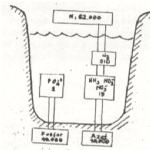 Doğal Sularda Azot Değişimleri Nelerdir?