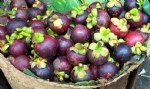 Mangostan Meyvesi Nedir? Mangostan Meyvesi Nedir?