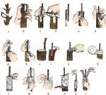 Meyve Fidanı Üretimi Nasıl Yapılır?