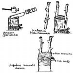Meyve Fidanı Üretimi Nasıl Yapılır?