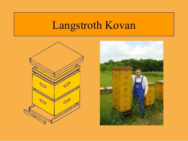 <a title='Arıcılıkta Temel Bilgiler' href='https://www.muhendistarim.com.tr/konu/4588/aricilikta-temel-bilgiler'>Arıcılık</a> Malzemeleri Nelerdir? Arıcılık Malzemeleri Nelerdir?