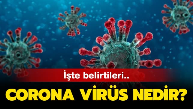 Corona Virüsü Hakkında Merak Edilen Tüm Detaylar