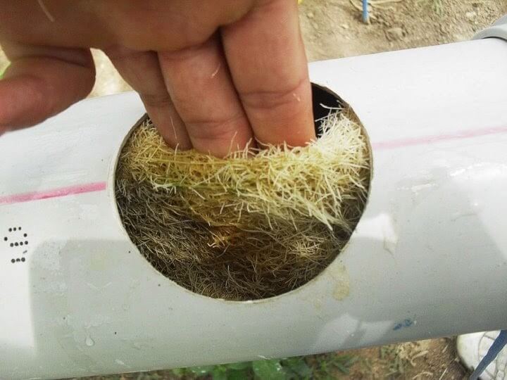 Neden Topraksız Tarım?