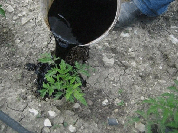 Hümik Asitin Faydaları (Toprağa Yararları) Nelerdir?