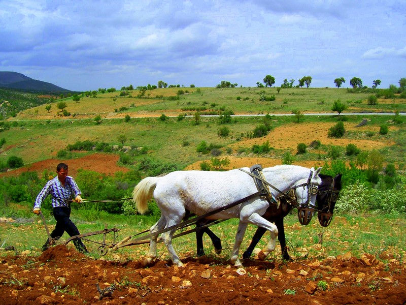Eski Tarım Aletleri Ve Kullanım Alanları Nelerdir?