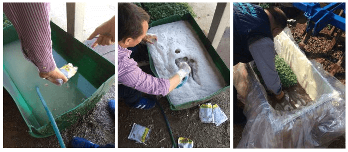 Mikorizal Gübre Ne Zaman Ve Nasıl Kullanılır?