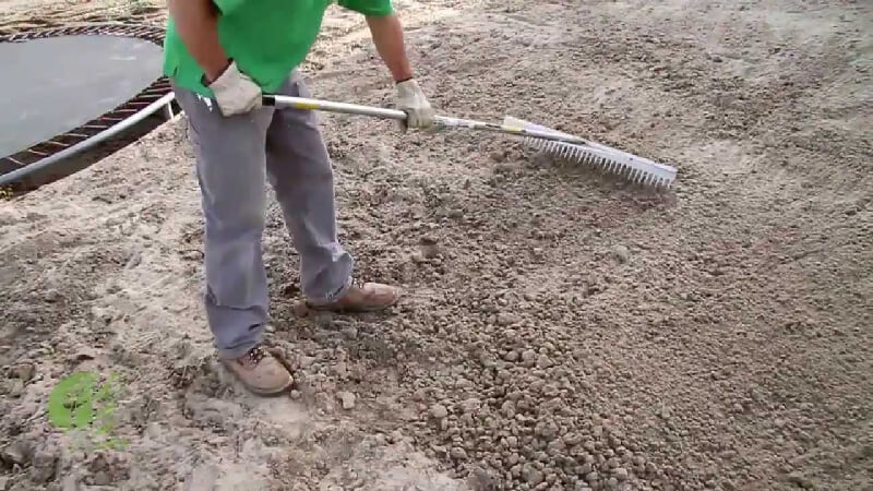 Çim Tohumu Ekimi Nasıl Yapılır? Adım Adım Pratik Rehber