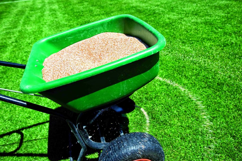 Çim Gübrelemesi Nasıl Yapılır? Çim Gübrelemesi Nasıl Yapılır?