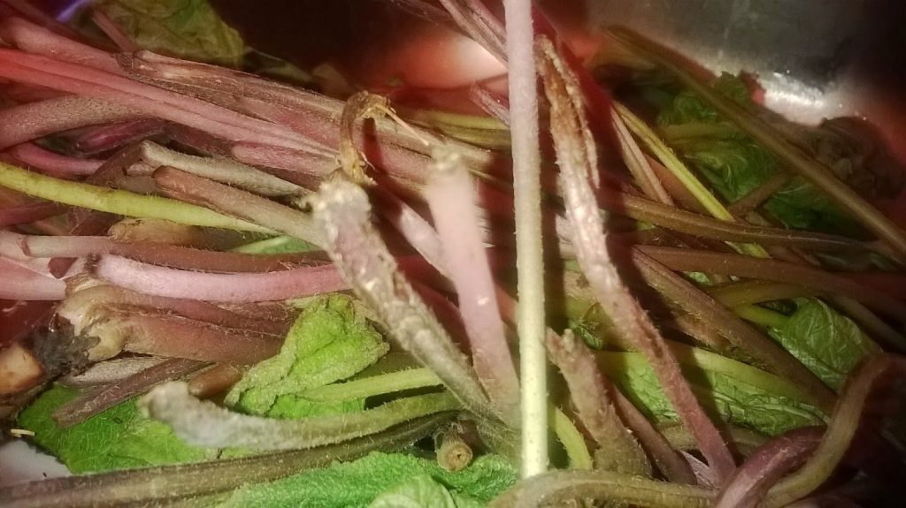 Balıkotu Faydaları Ve Zararları Nelerdir?