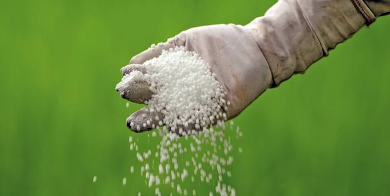 Korunga Gübreleme Programı