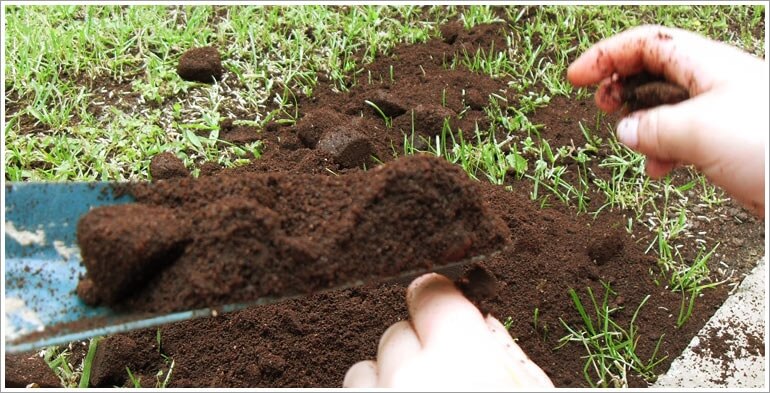 Şeker Pancarı Gübreleme Önerileri