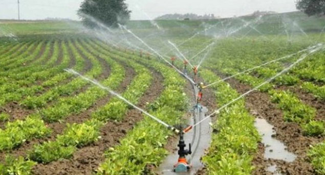 Azotlu Gübreler Ve Kullanım Dozları Nelerdir? Azotlu Gübreler Ve Kullanım Dozları Nelerdir?