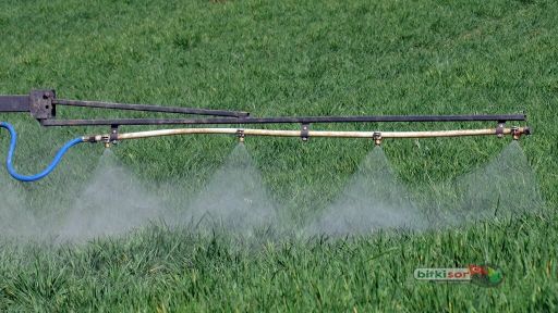 Yabancı Ot Ilaçlamasında Dikkat Edilmesi Gerekenler Nelerdir?