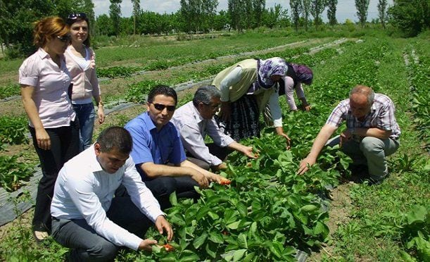 Organik Tarım Kontrolörü