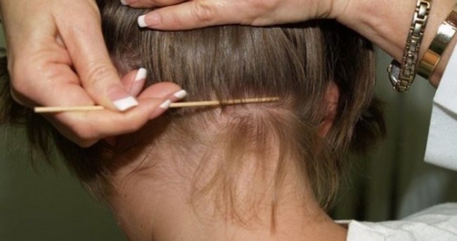 Bit Nasıl Anlaşılır?