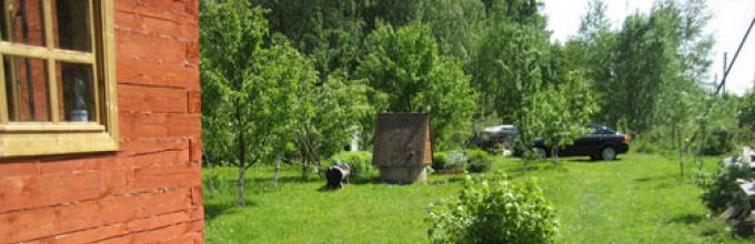 Çim Ekimi Ve Çim Bakımı Nasıl Olmalıdır? Çim Ekimi Ve Çim Bakımı Nasıl Olmalıdır?