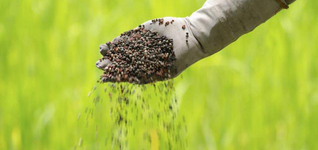 Organik Gübre Nedir? Organik Gübre Nedir?