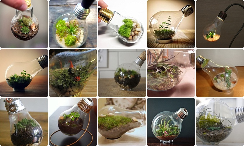 Teraryum Yapım Aşamaları Nelerdir?