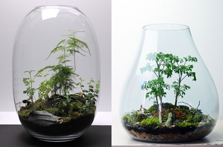 Teraryum Yapım Aşamaları Nelerdir?