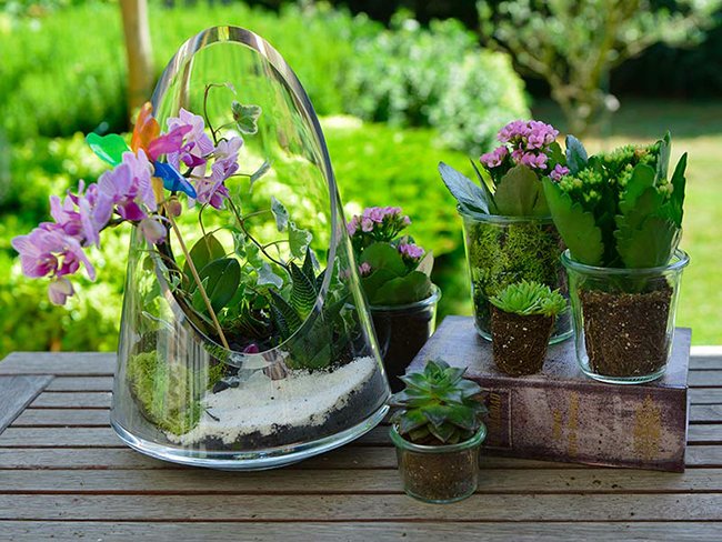 Teraryum Yapım Aşamaları Nelerdir?