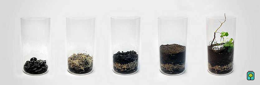 Teraryum Yapım Aşamaları Nelerdir?