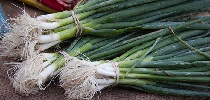 Taze Soğanı Aylarca Saklamanın Yolu