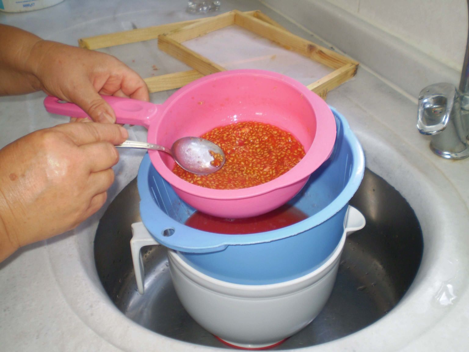 Yıkayarak Tohum Çıkarma 