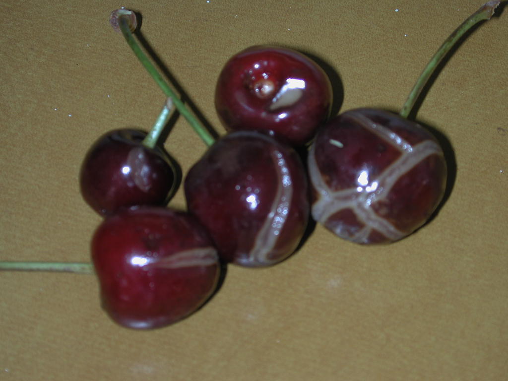 Meyve Ve Sebzelerde Çatlamaların Engellenmesi İçin