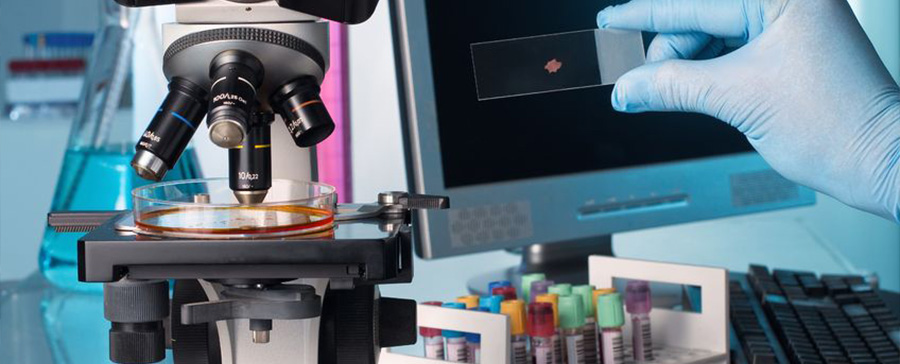 Patoloji (Hastalıkların Oluşumu) Patoloji (Hastalıkların Oluşumu)