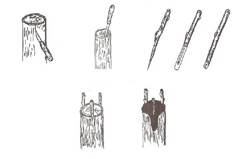 Yarma Aşı Nasıl Yapılır?