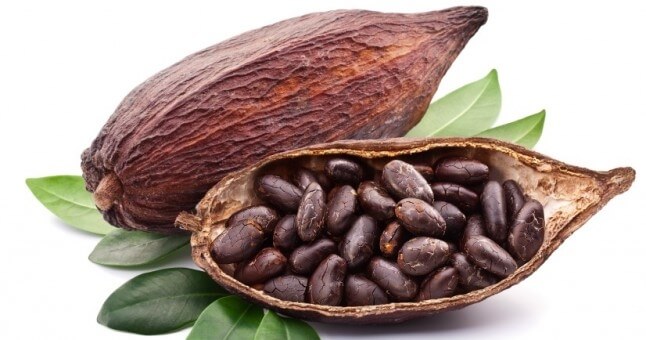 Kakao Yağı Faydaları Ve Zararları Nelerdir?