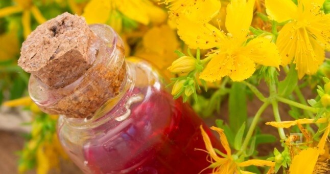 Kantoron Yağı Faydaları Ve Zararları Nelerdir?