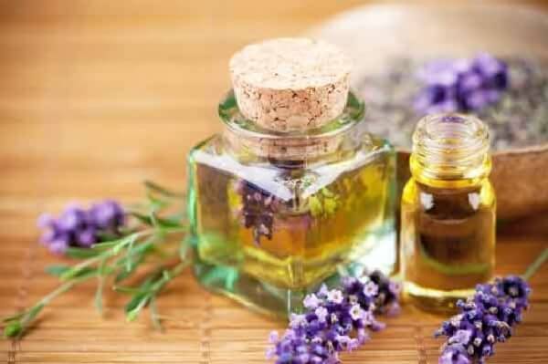 Kekik Yağı Faydaları