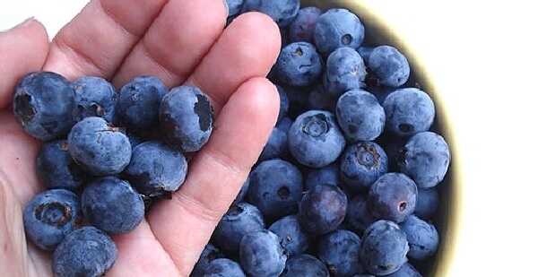 Mersin Yağı Faydaları