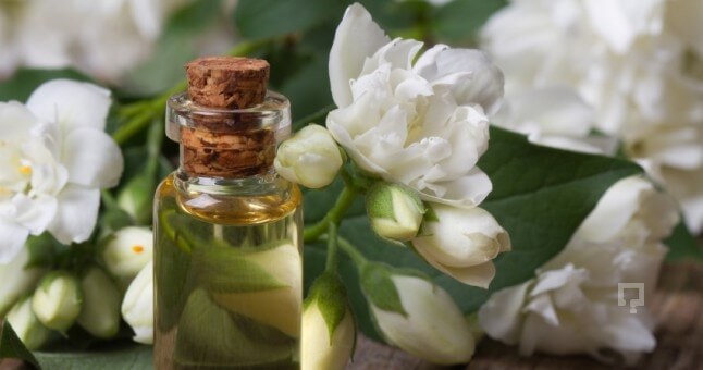 Yasemin Yağı Faydaları Ve Zararları Nelerdir?