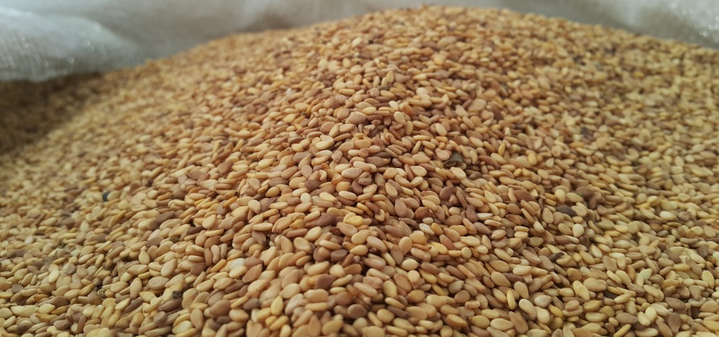 Önemli Baharat Çeşitleri Nelerdir?