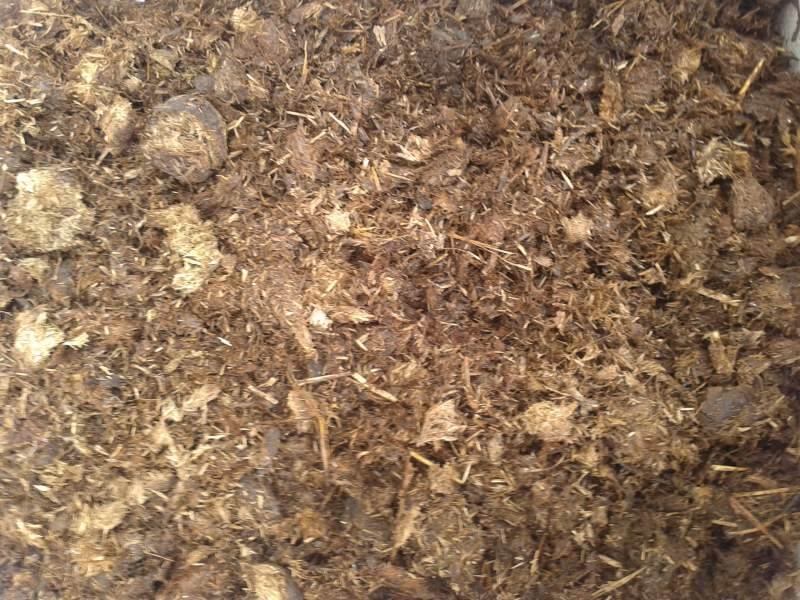 Kültür Mantarı Yetiştiriciliği