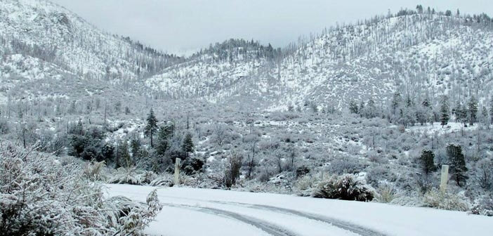 Kar Taneleri Neden Beyaz Renklidir?