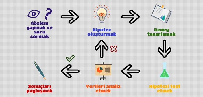 Bilimsel Yöntem Adımları Nelerdir?