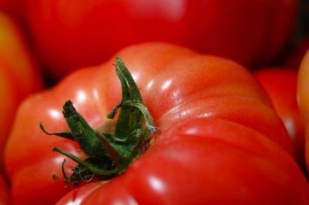 Domateslerin Çabuk Çürümesini Önlemek İçin Mutlaka Yapın!