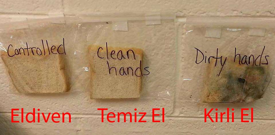 El Yıkamanın Önemini Anlatan Ekmek Deneyi