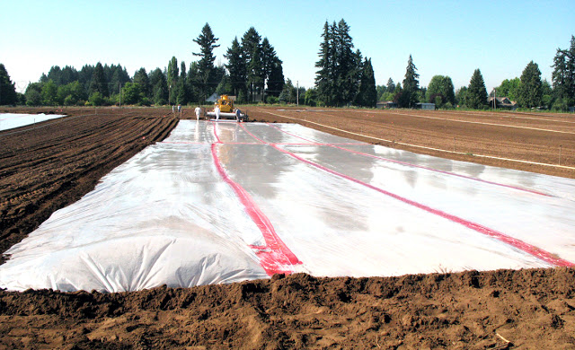 <a title='Toprak İşlemele Yöntemleri' href='https://www.muhendistarim.com.tr/konu/4854/toprak-islemele-yontemleri'>Toprak</a> Dezenfeksiyonu Nedir Nasıl Yapılır ? Toprak Dezenfeksiyonu Nedir Nasıl Yapılır ?