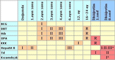 Konjuge Pnömokok Aşısı Nedir? Konjuge Pnömokok Aşısı Nedir?