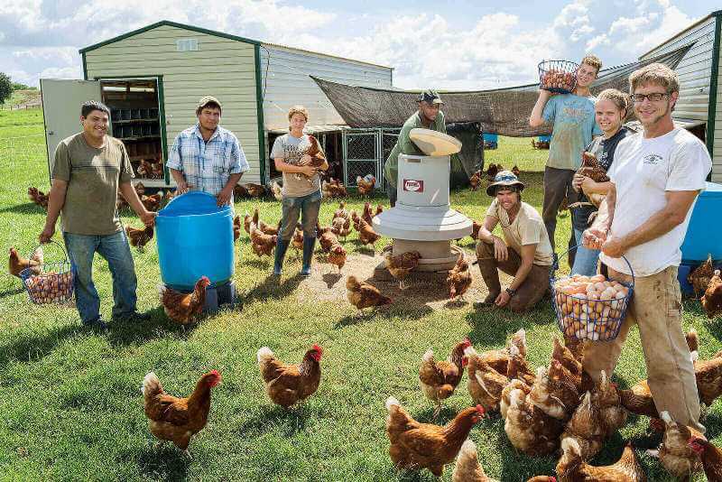 Organik Kanatlı Yetiştiriciliğinde Barınakların Yapısı