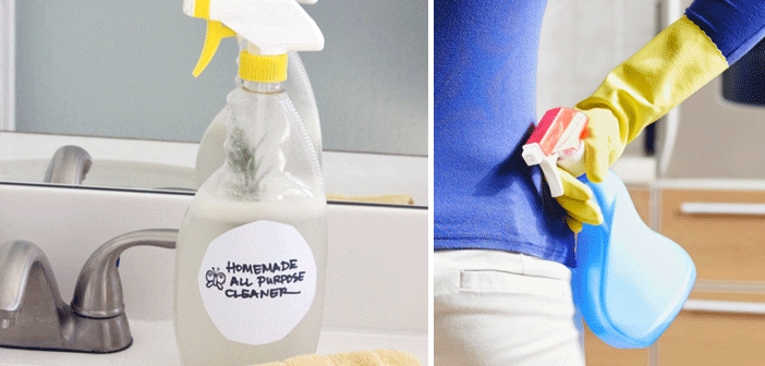 Ev Yapımı Deterjan